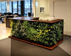 Добавляем зелени в офис