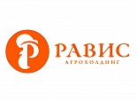 Разработан дизайн прилавка для "Равис"